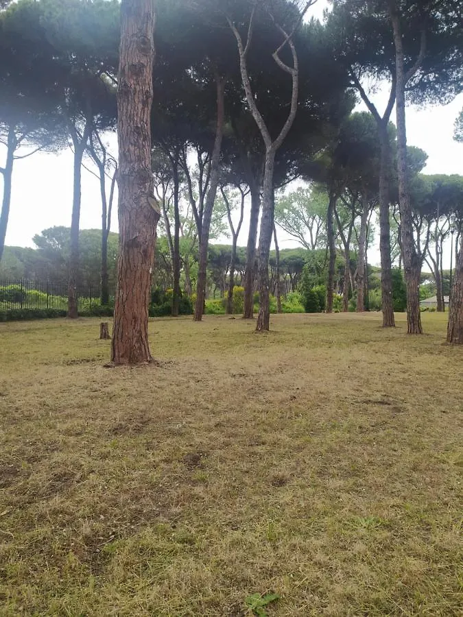 Attico Con Terrazza In Via Dei Traghetti Apartment Lido di Ostia 0*,